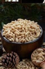 Çam Fıstığı – Can Baharat