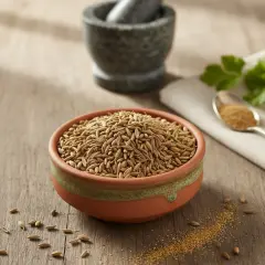 Kimyon Tane – Can Baharat