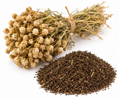 Üzerlik Otu 30 Gr