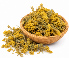 ALTIN OTU 30 GR