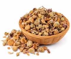 HATMİ ÇİÇEĞİ 40 GR
