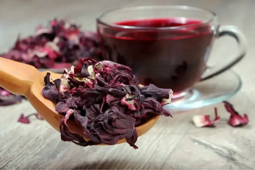 Hibisküs 100 Gr