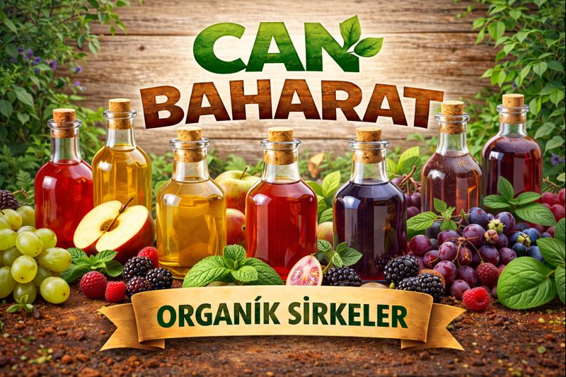 ORGANİK SİRKELER
